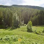 Nature On Wooded Valley *