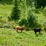 Chalet Nature On Wooded Valley