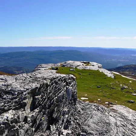 Nature On Wooded Valley Bo (Telemark)