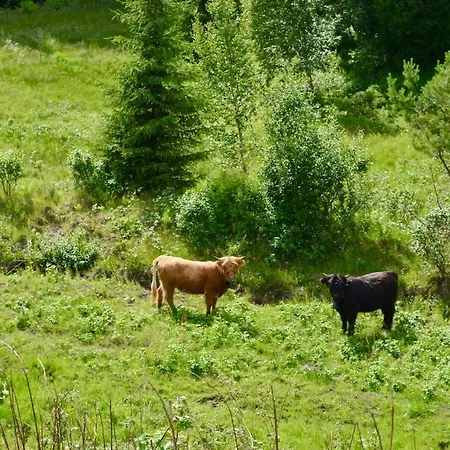 Chaleter Nature On Wooded Valley