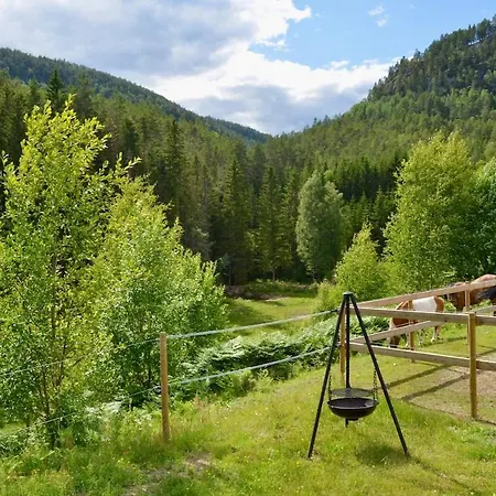 Nature On Wooded Valley Bo (Telemark)