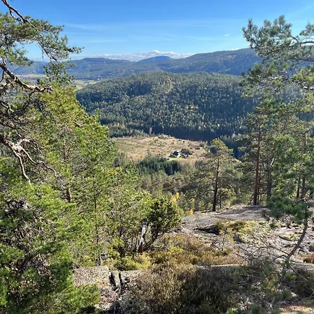 Nature On Wooded Valley Bo (Telemark)