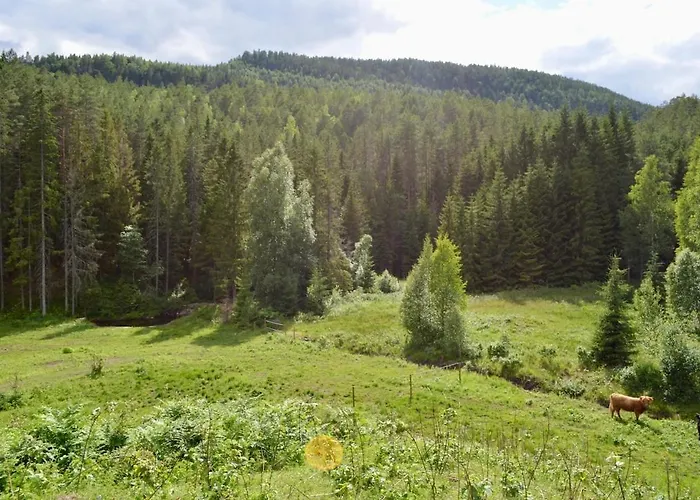 Nature On Wooded Valley *