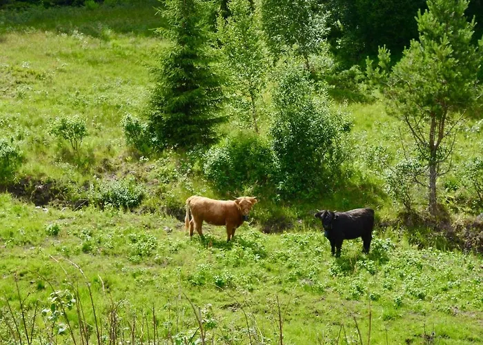 Шале Nature On Wooded Valley