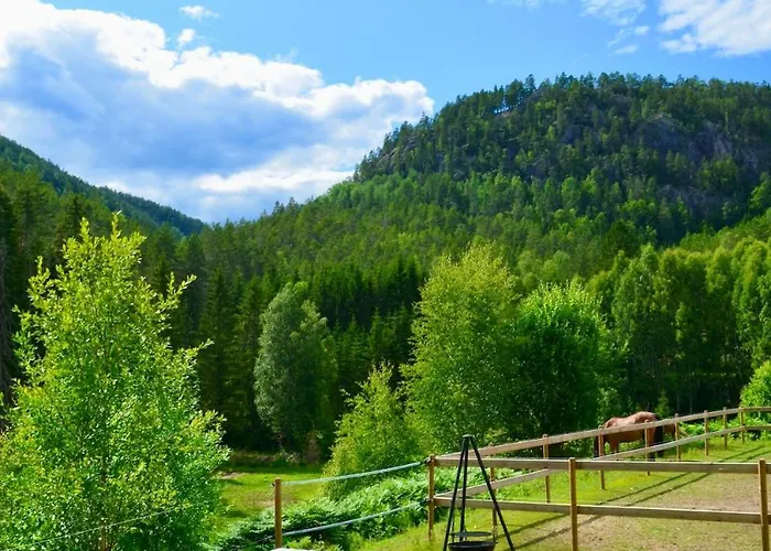 Nature On Wooded Valley *